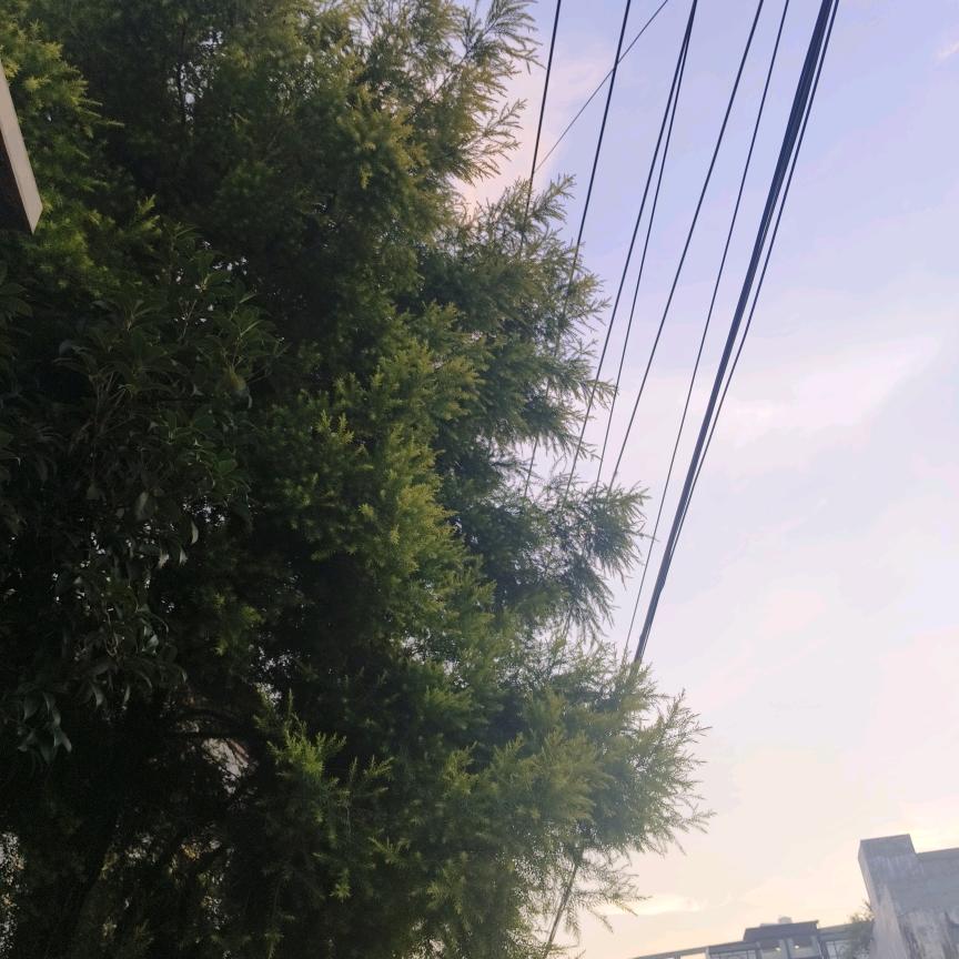 真心难找哦