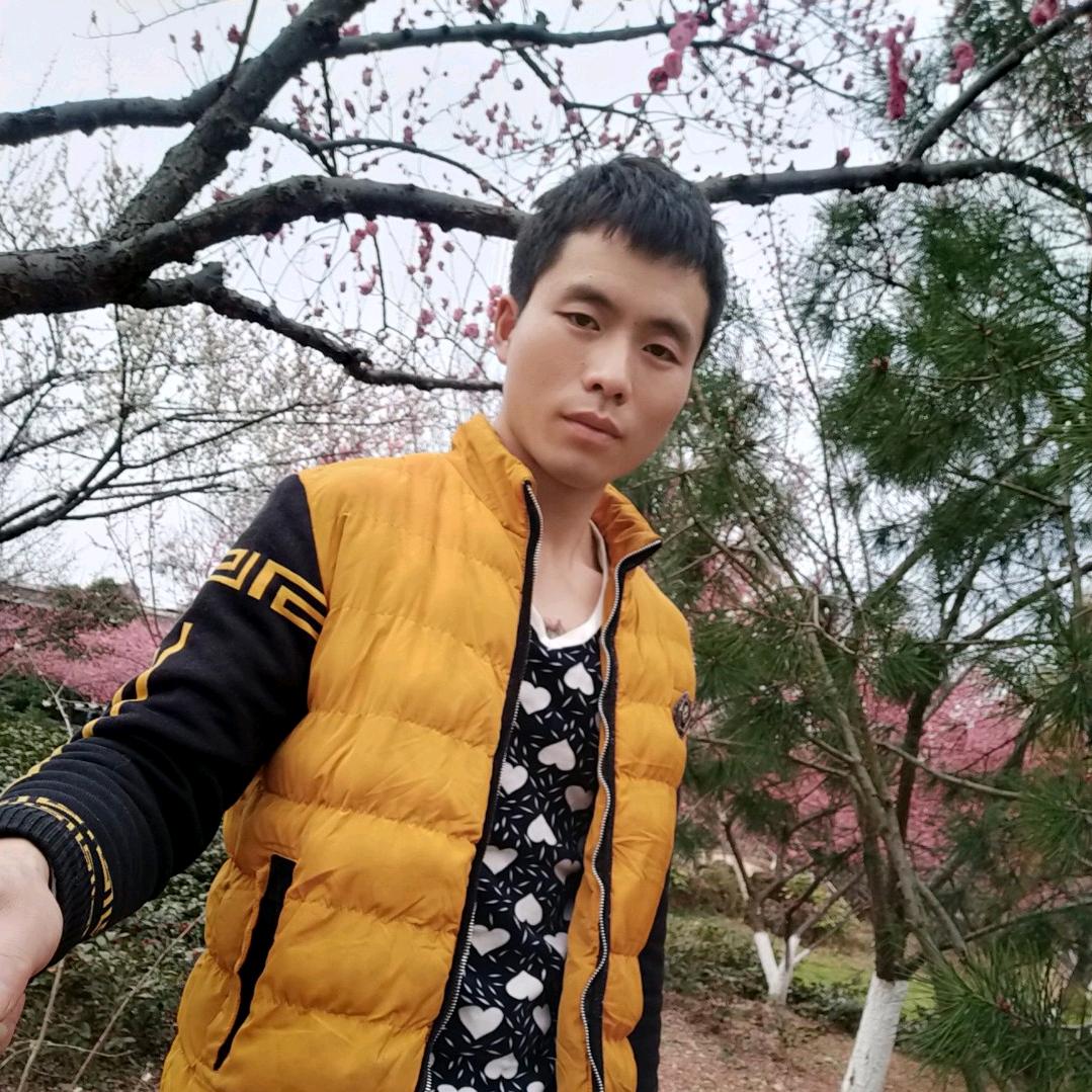 涛哥