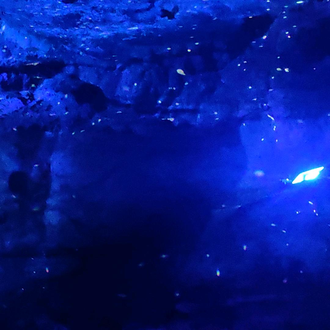 夜半敲门声声入耳