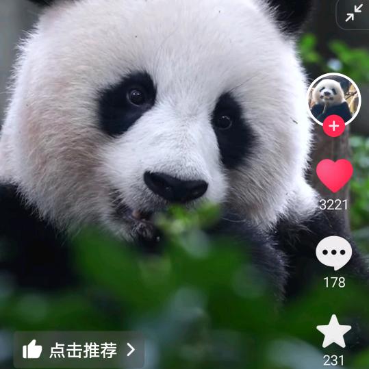 小小燕