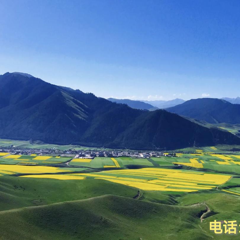 追  寻  眞  理