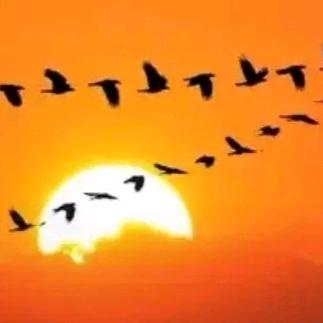 男非🦅🦅🦅