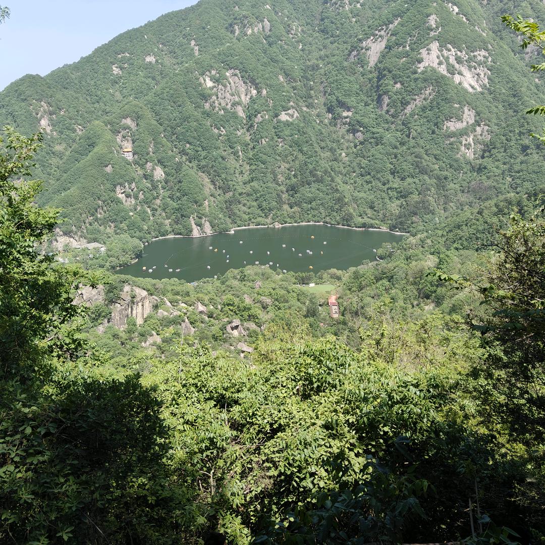 郑百万