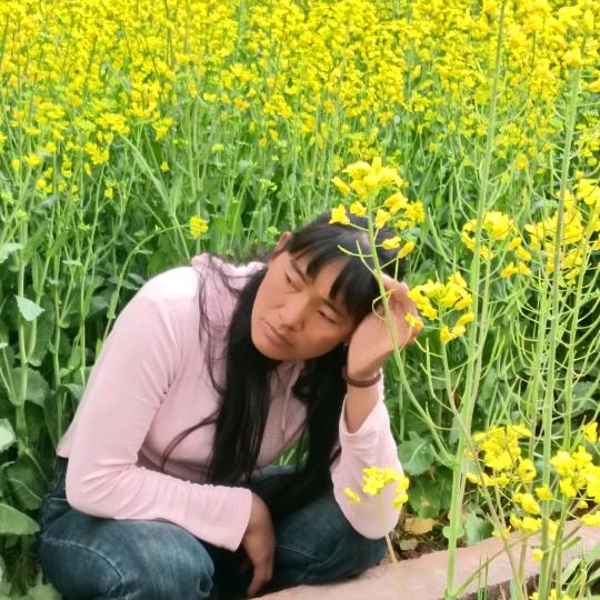 💞张灯💞结彩💞