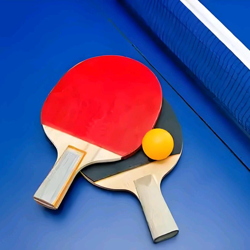 众览乒乓球