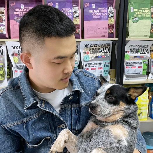 唐唐的神奇小动物