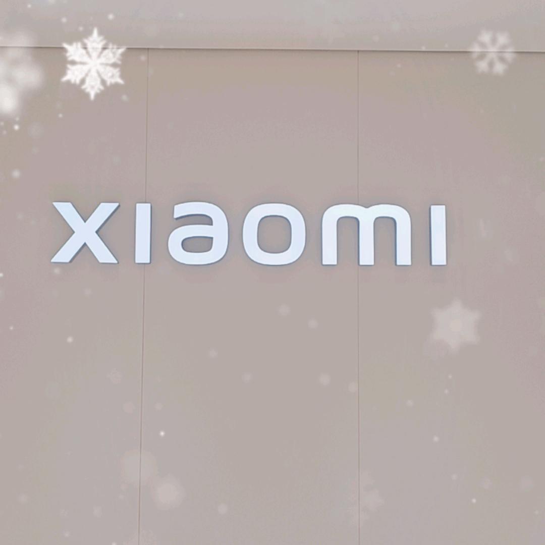 青山万达车融合小米之家