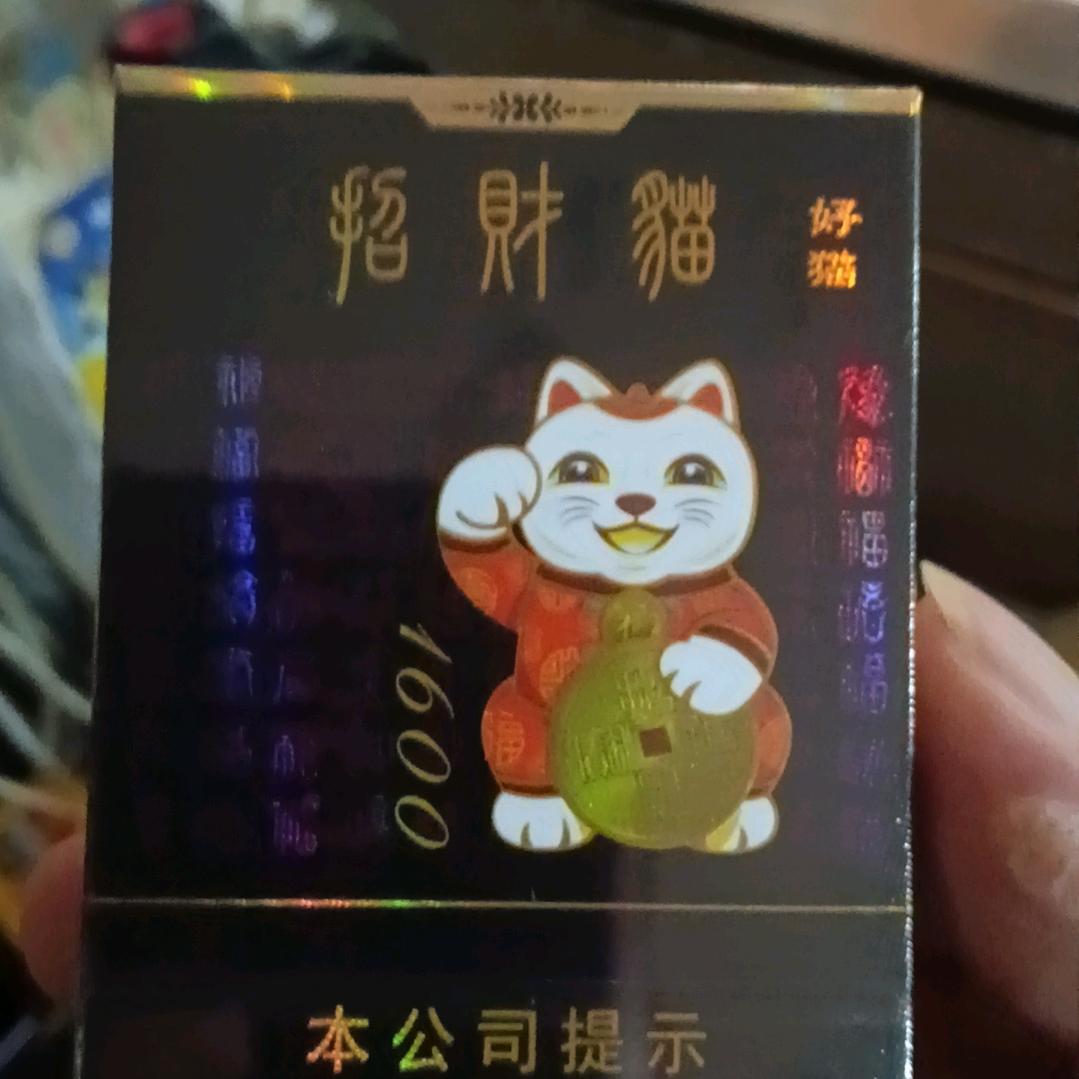 龙哥🐉