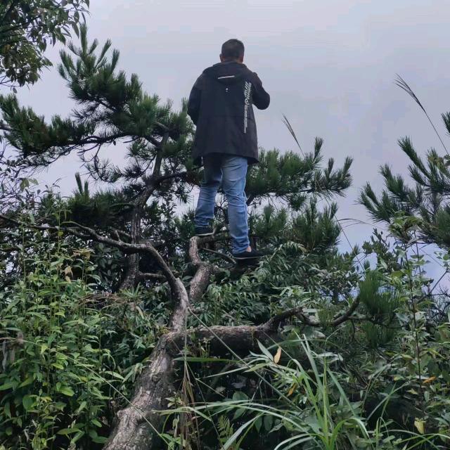 杨洋《工地小哥》