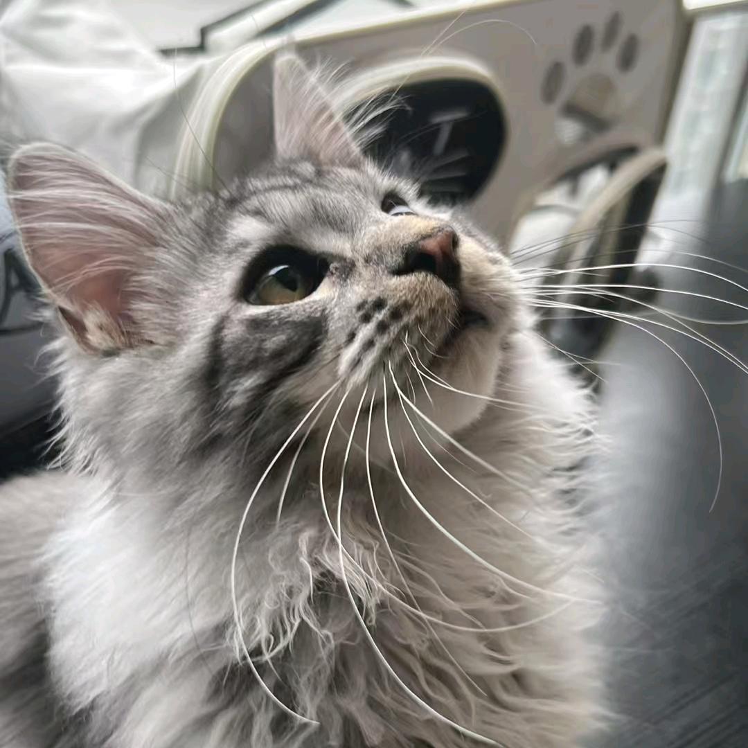 身体健康最重要