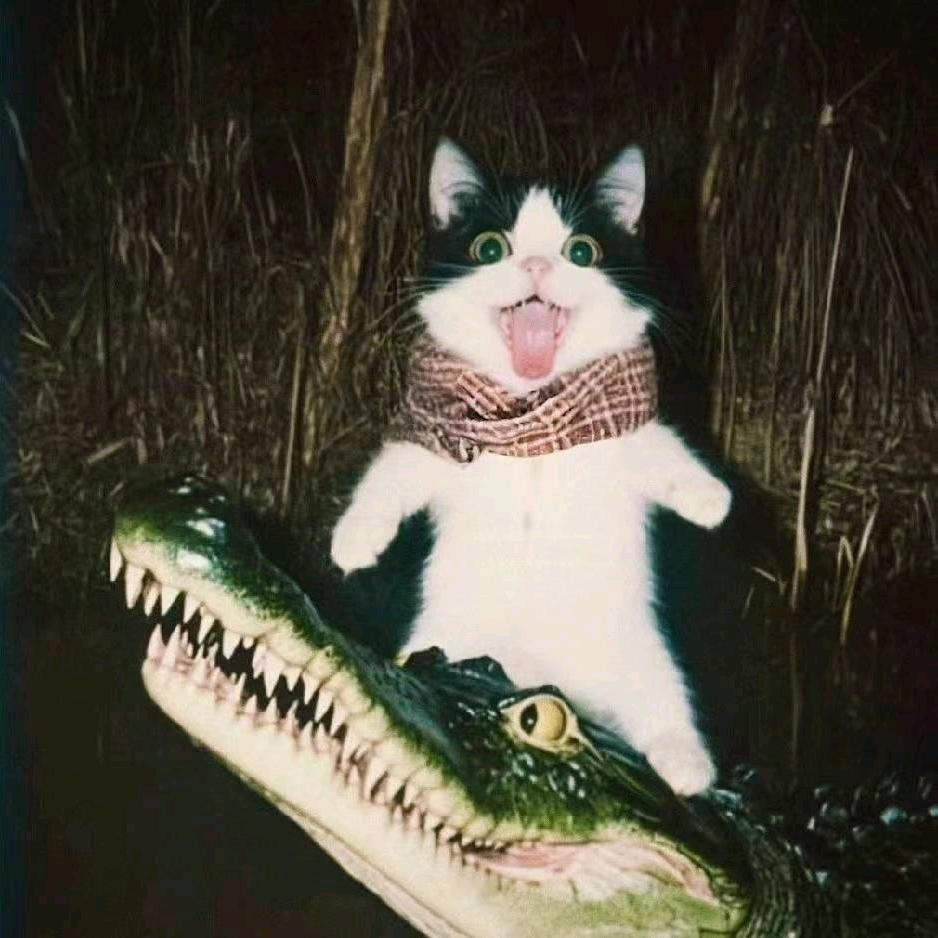 -.
