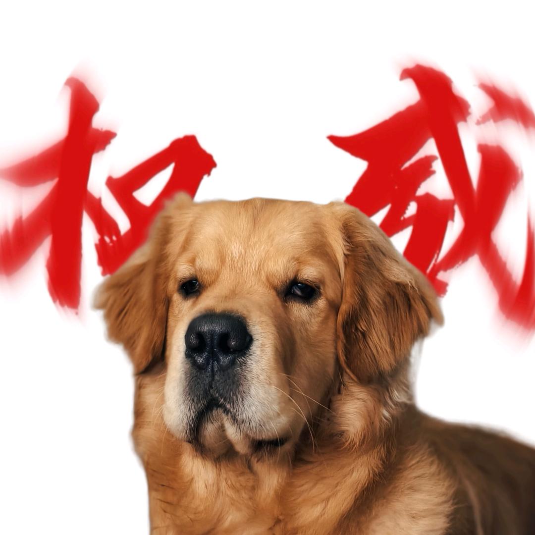 领导和她的狗