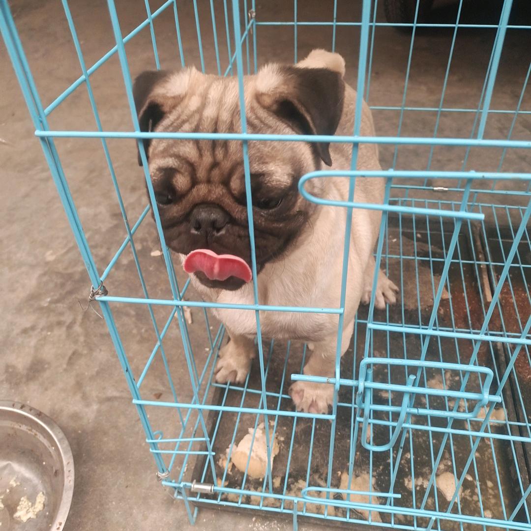 走走看看