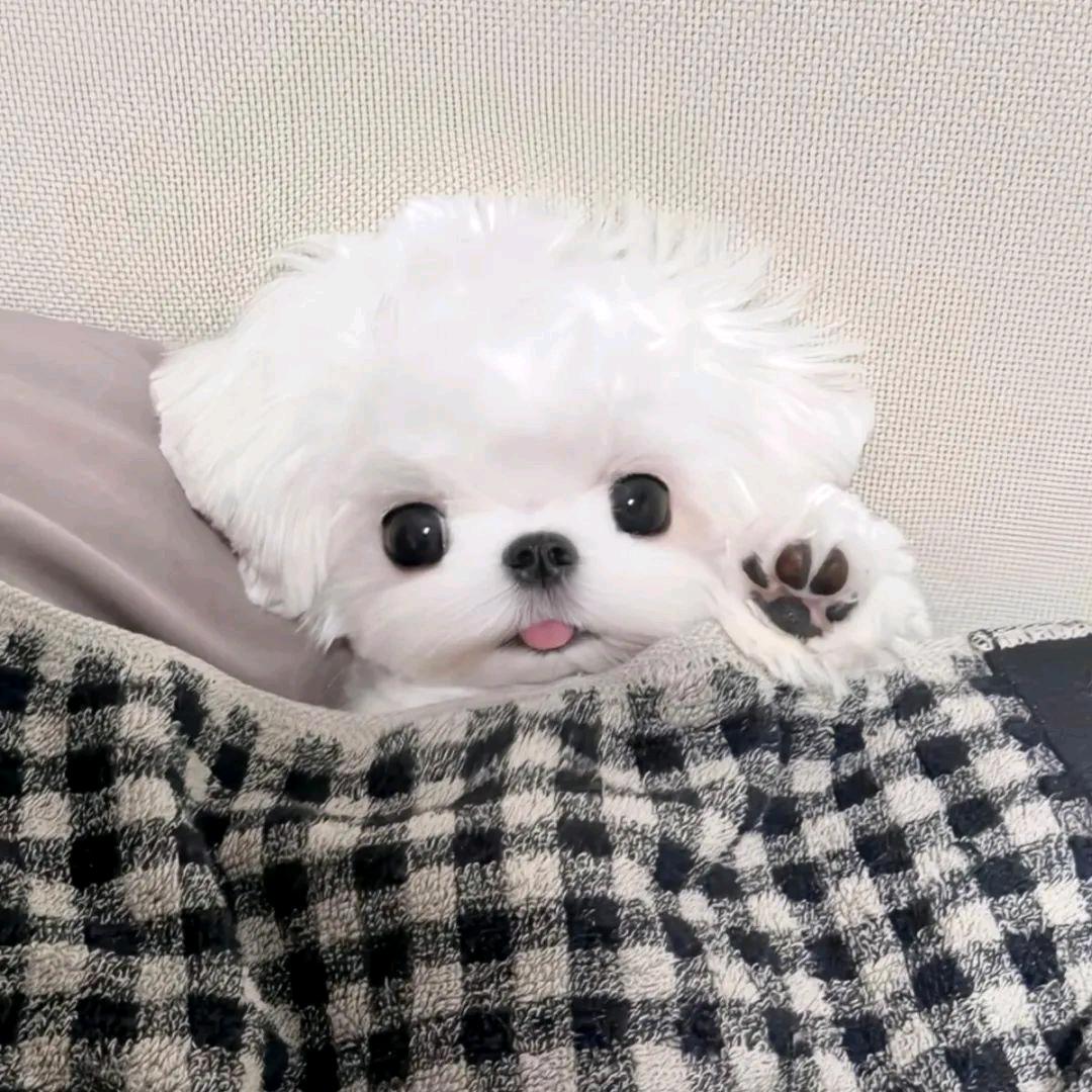 冷訫🍧