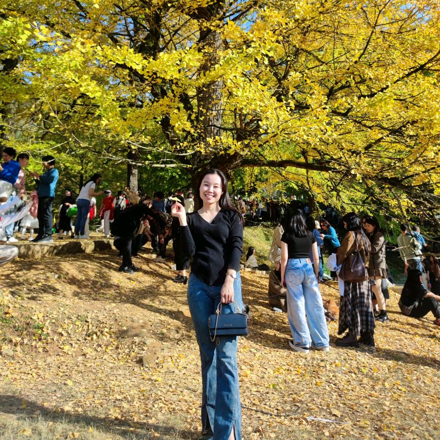 布鲁克林有棵树