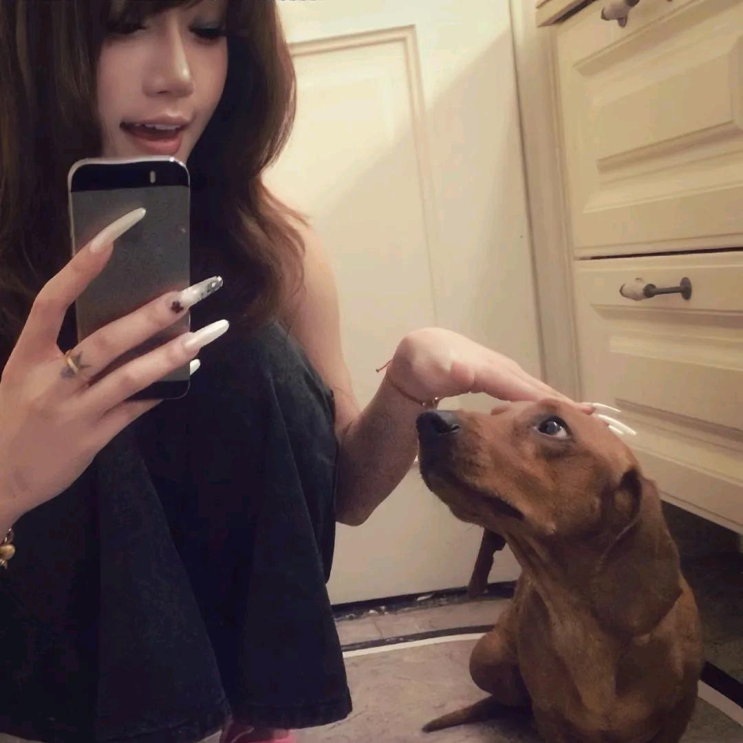 💗🐾