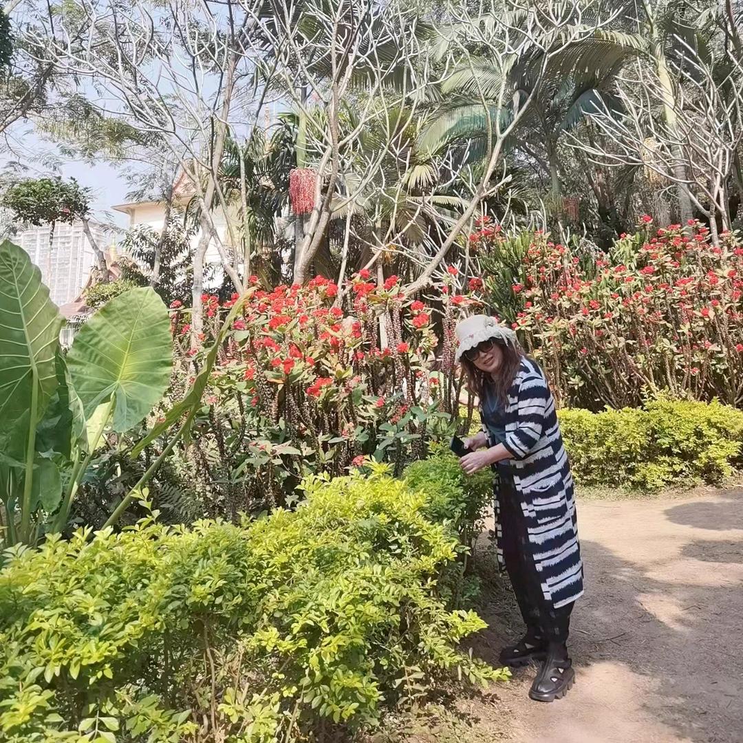 白玫瑰60后兔兔