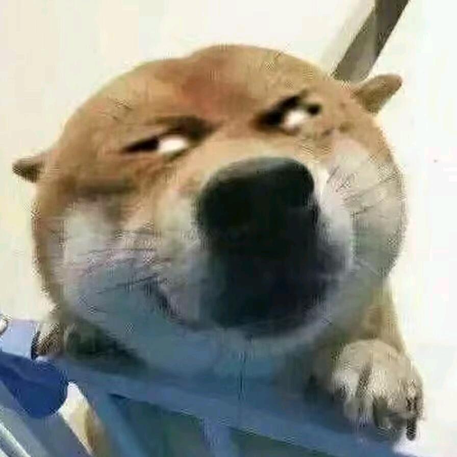 啥是gay