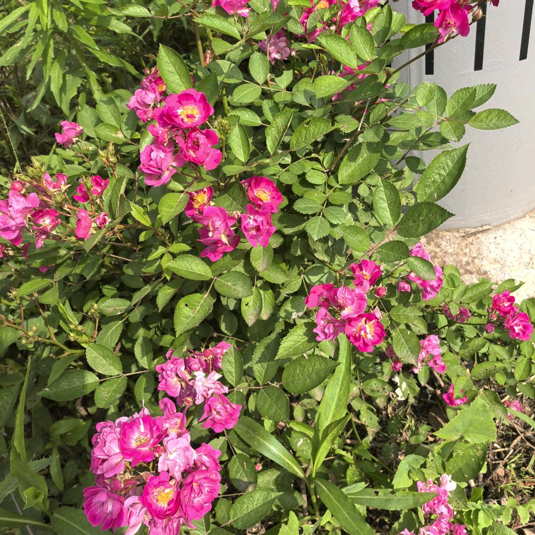 晓会
