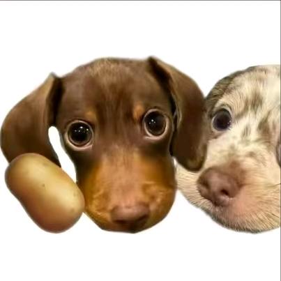 我的女朋友很可爱