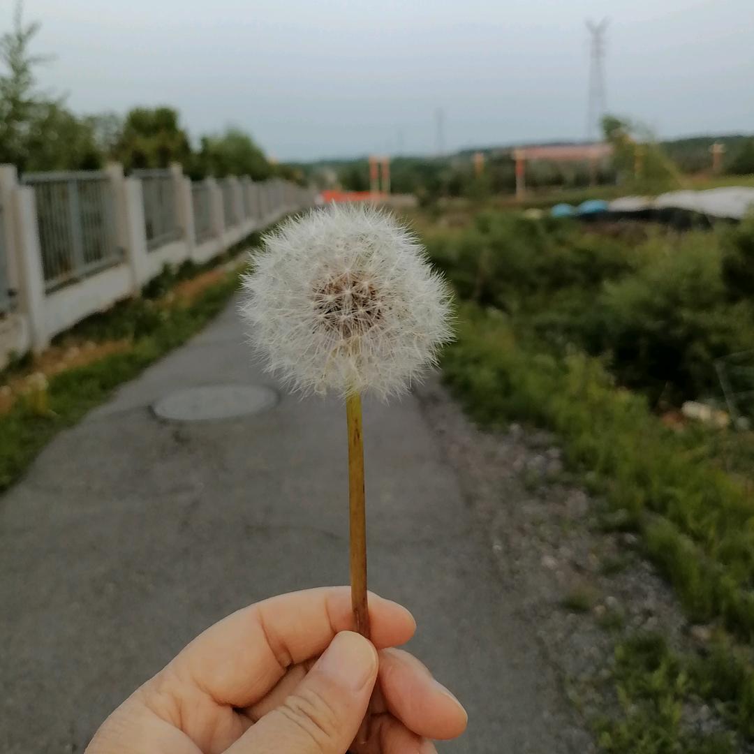 笑度余生，才对得起自己