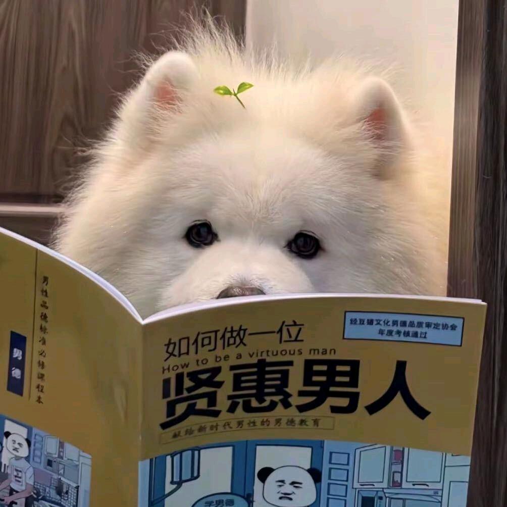 探影.🐶哥