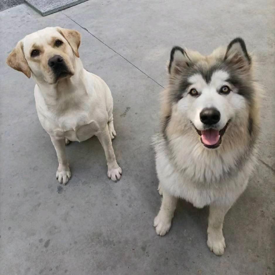 🥀刘光溢彩🍓ོ࿐