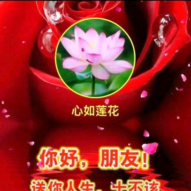 心如莲花