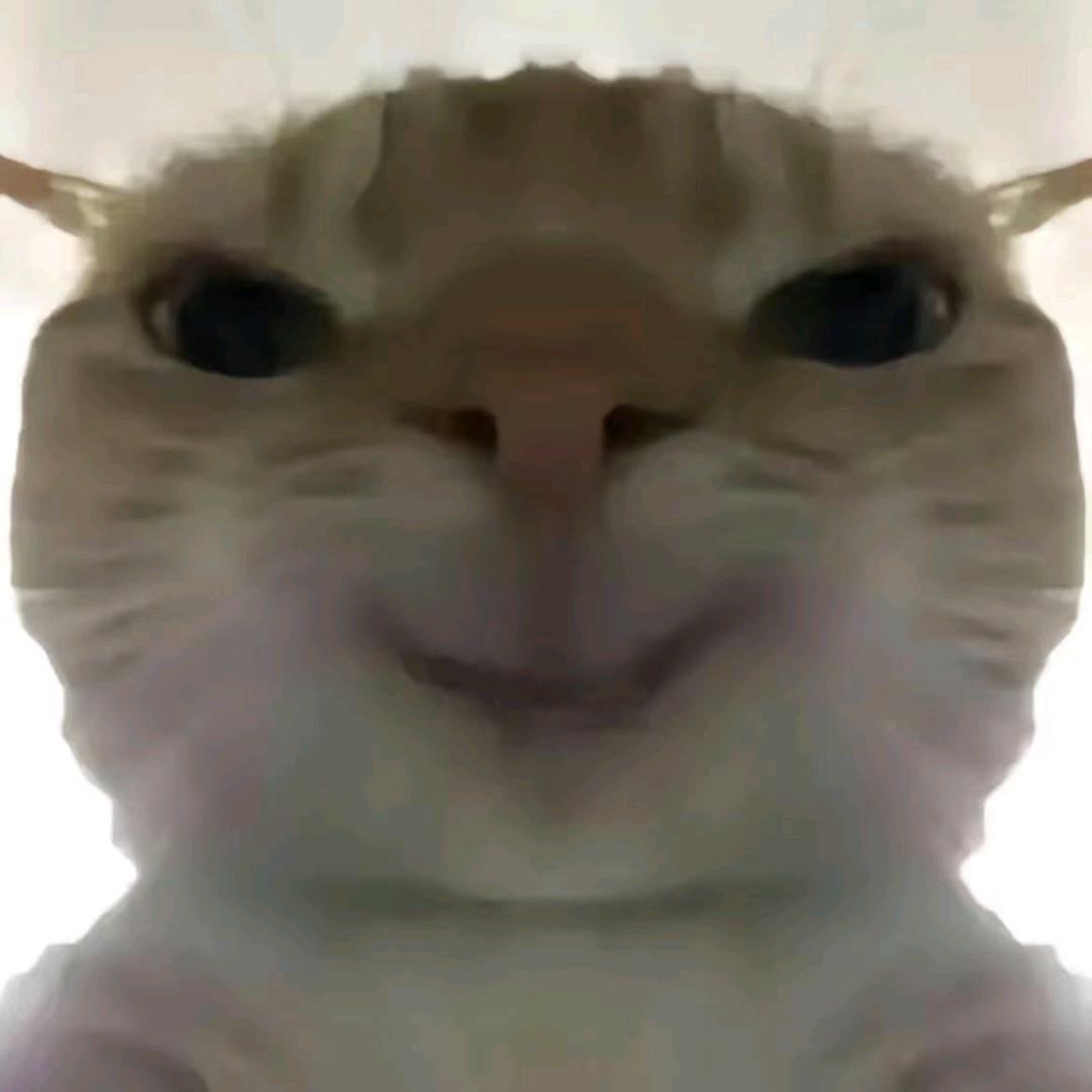 我是大王