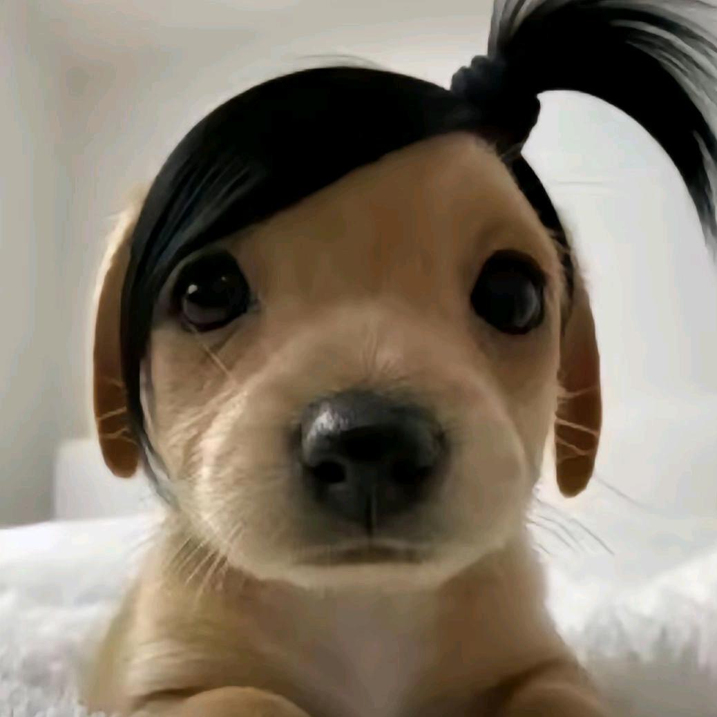 说反话