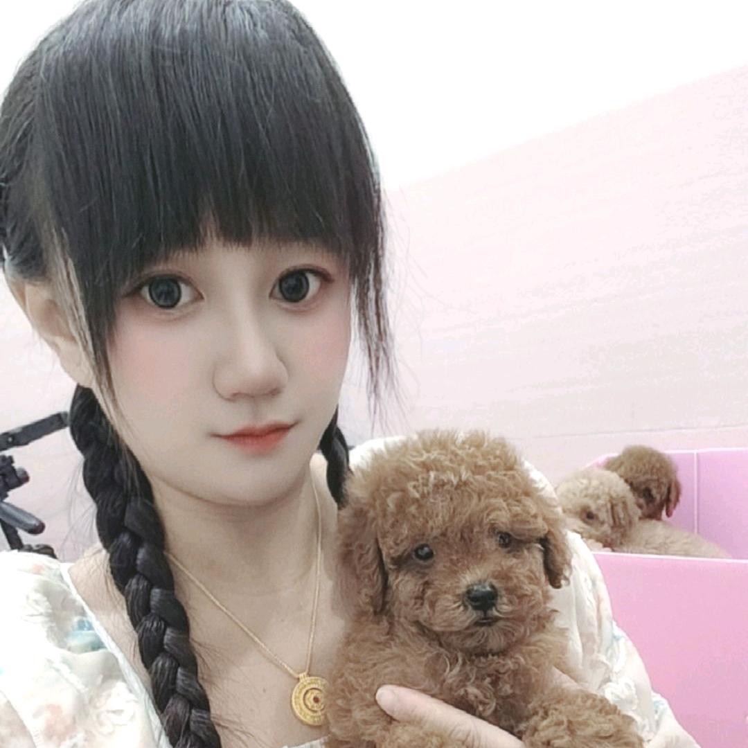 彭彭的狗崽们