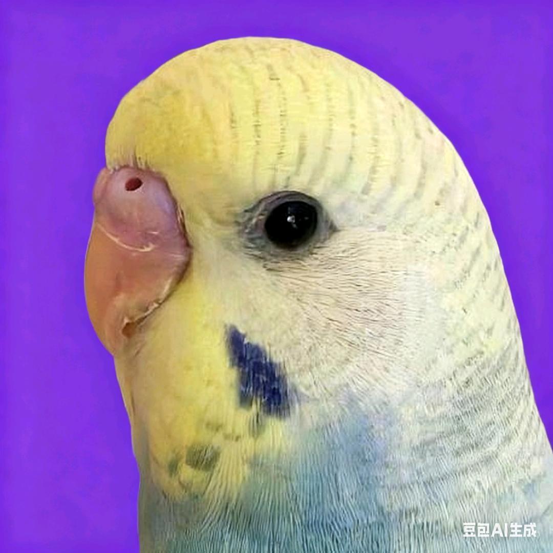 泸沽寻梦🐬（有关必回）