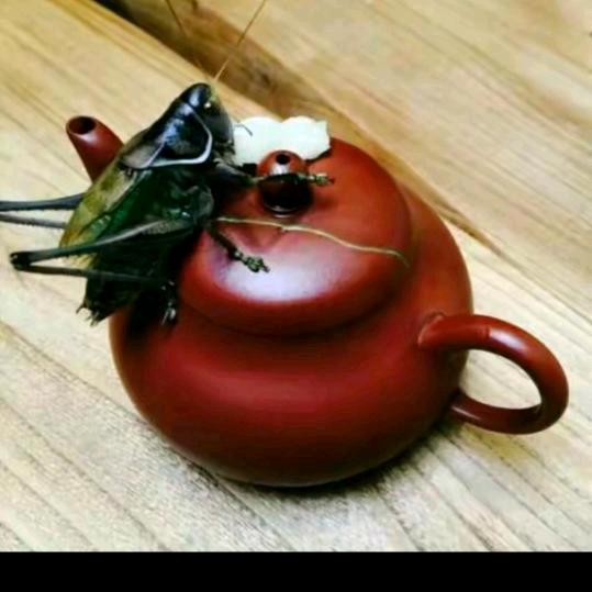 茶壶