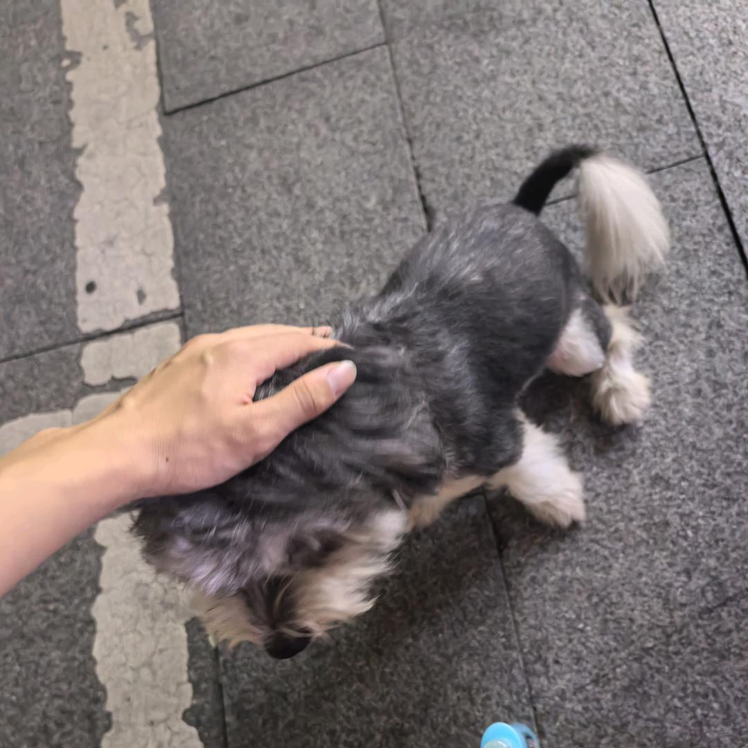 亡灵天灾