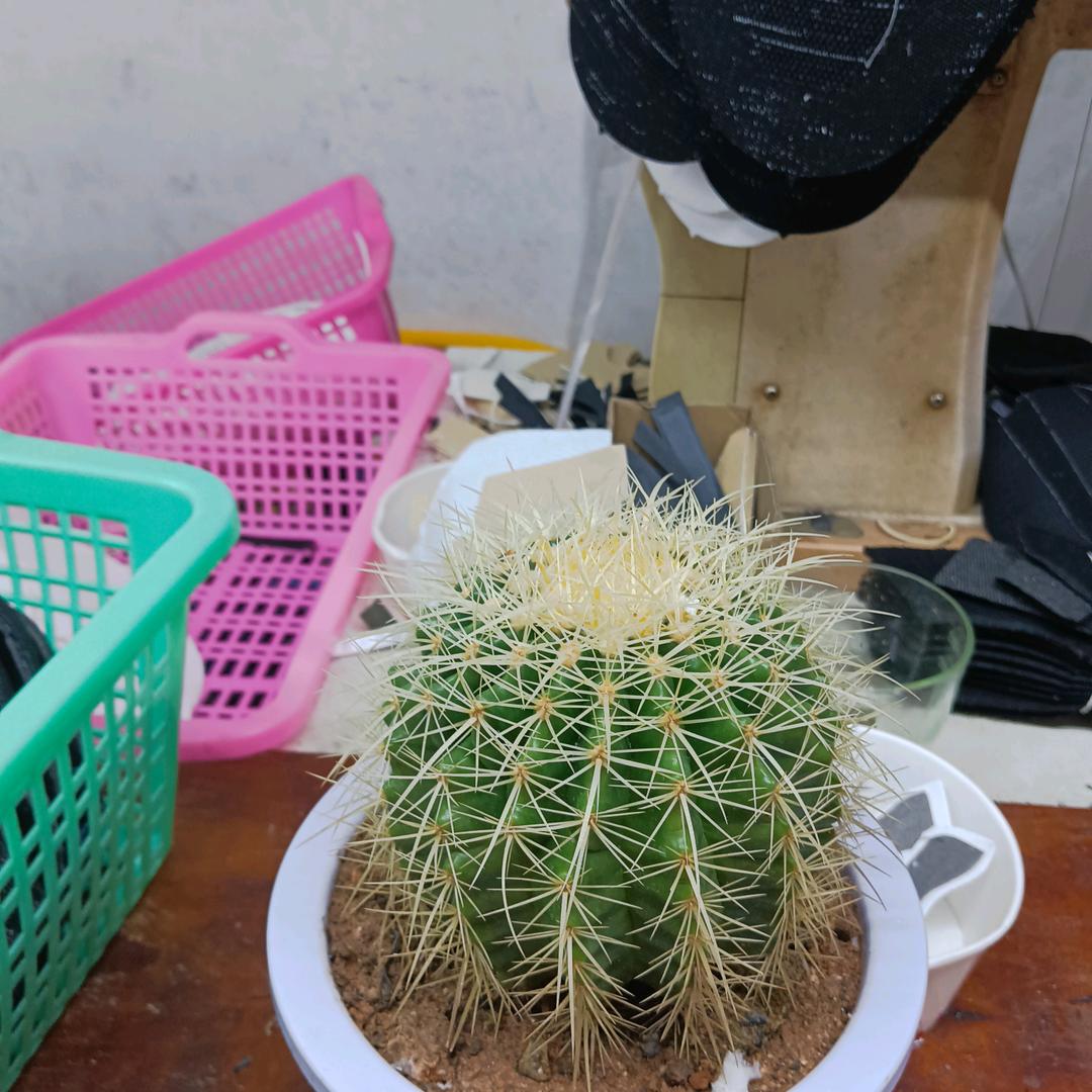 用户。3732409993350