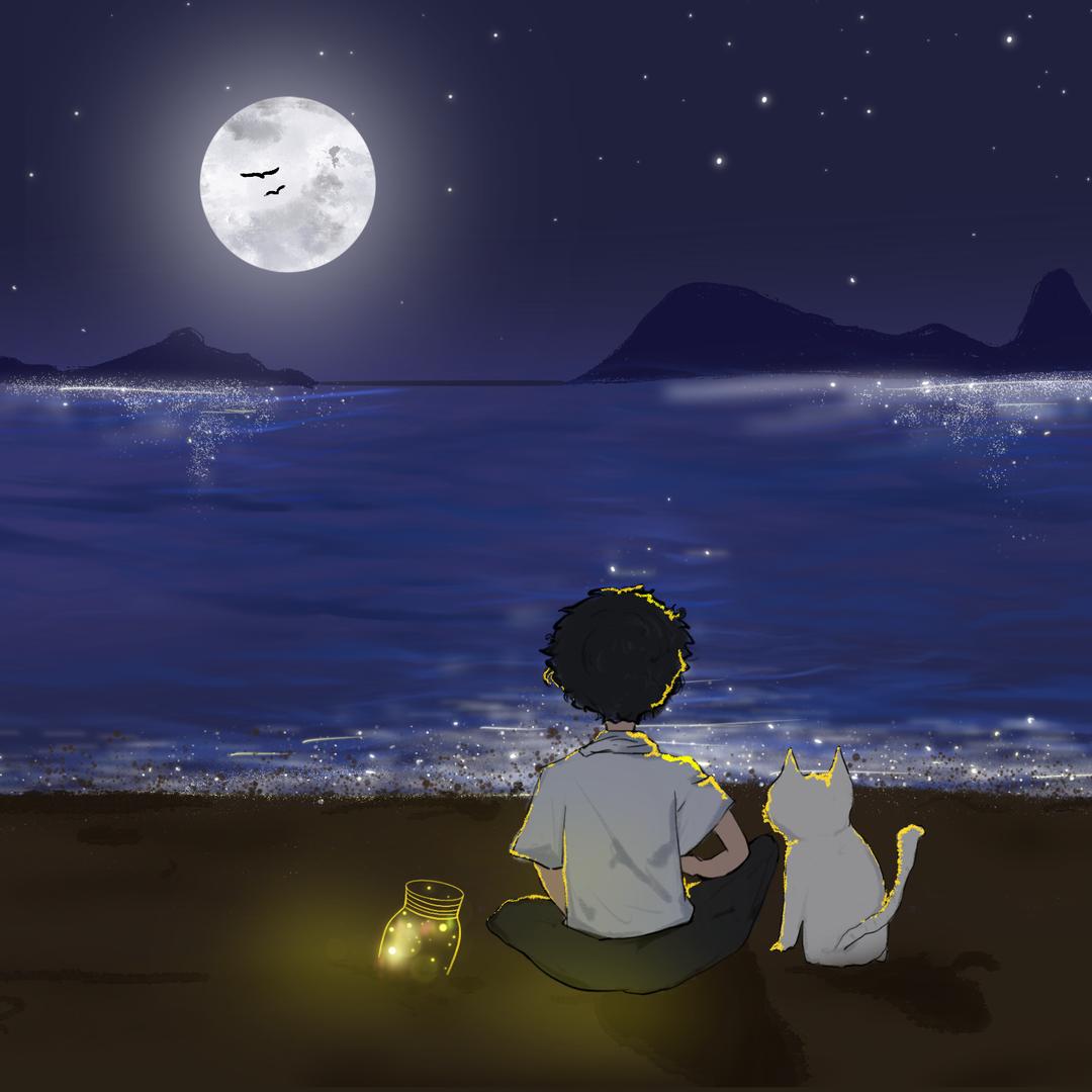 第六片海