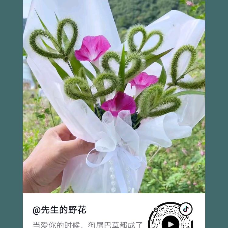 不可触碰的伤“””