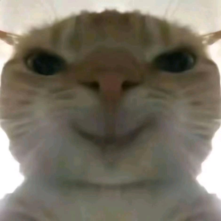 香港下雪就找女朋友