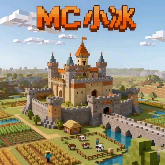 我的世界小冰（全网No.1生存）