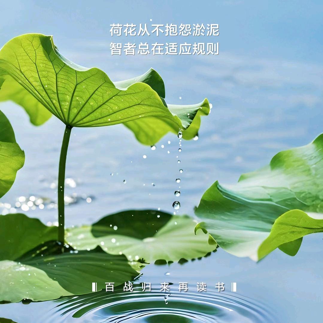 北京青年房友汇
