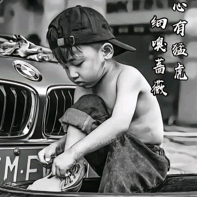 ૮ต孤꒰ঌ໒꒱独🦁