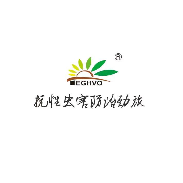 山东腾辉农资工厂店