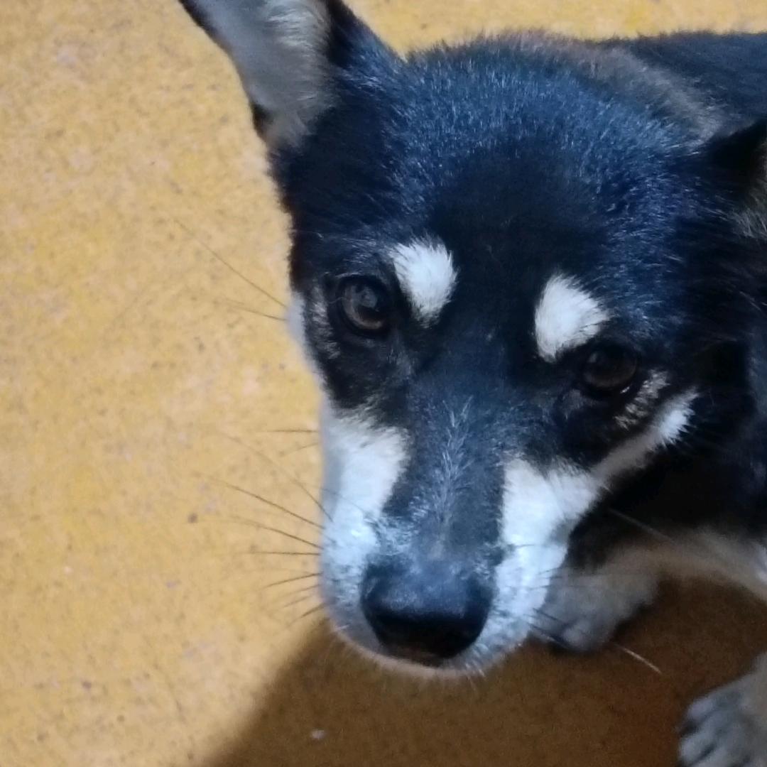 站得高，尿得远