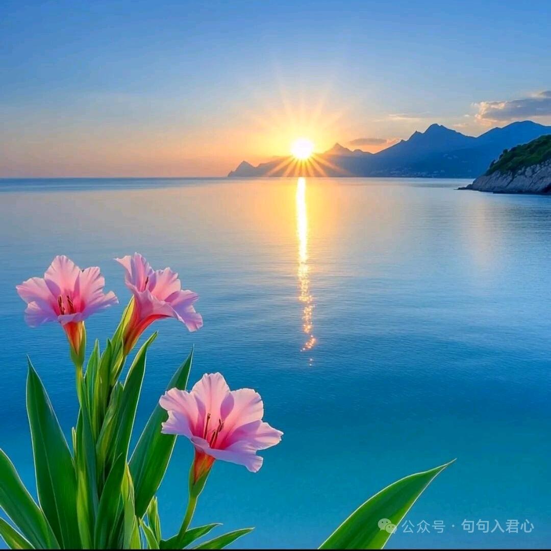 🌹浅笑不语🍀