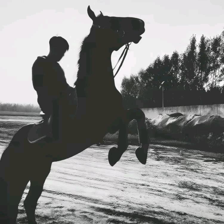 君阝不 亻夋
