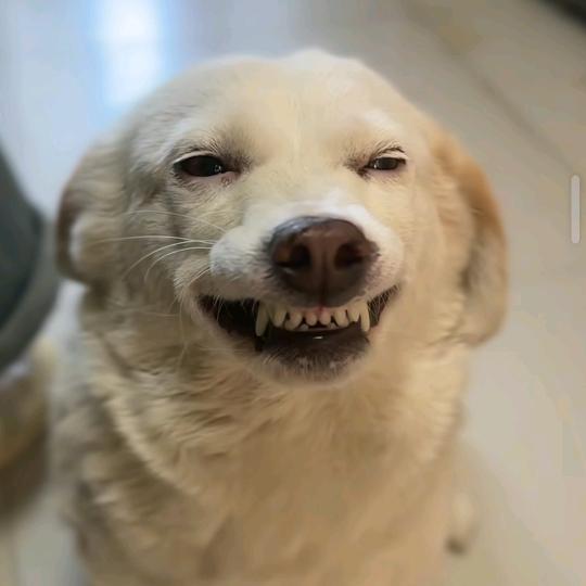 仁一