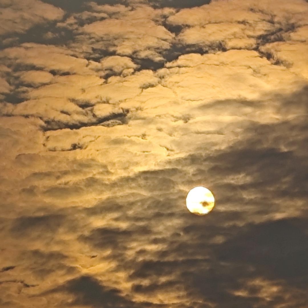 🌝🌝