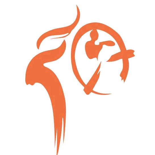 哎呀哈呼的教练