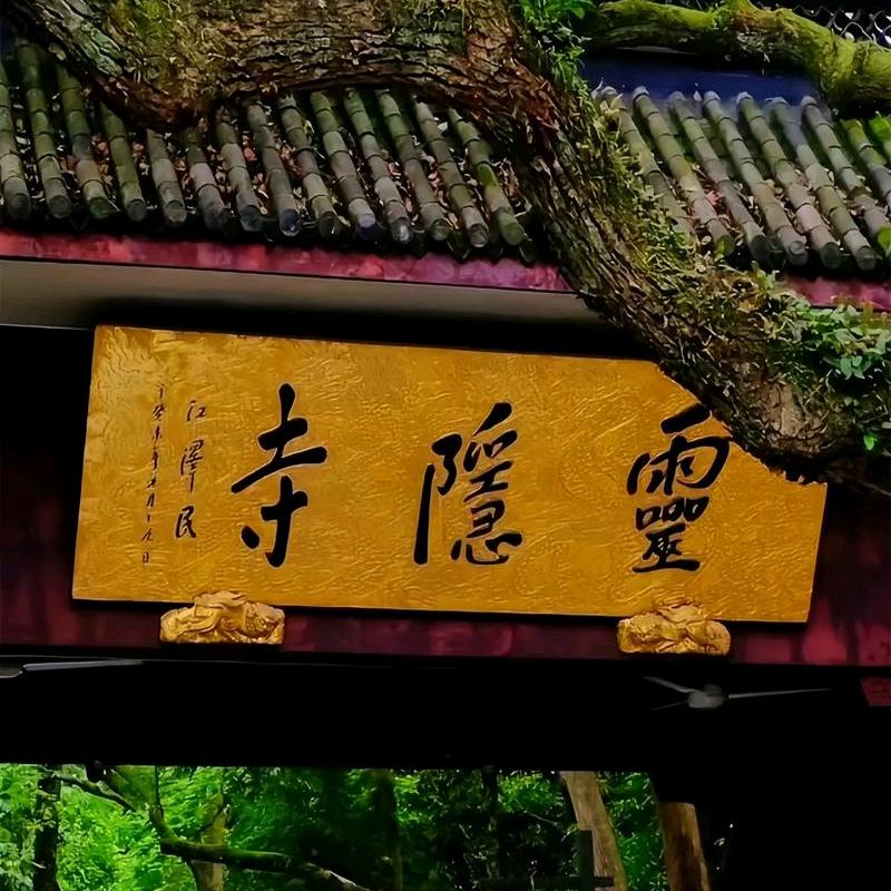 杨杨直播间（杭州灵隐寺财神庙专场）