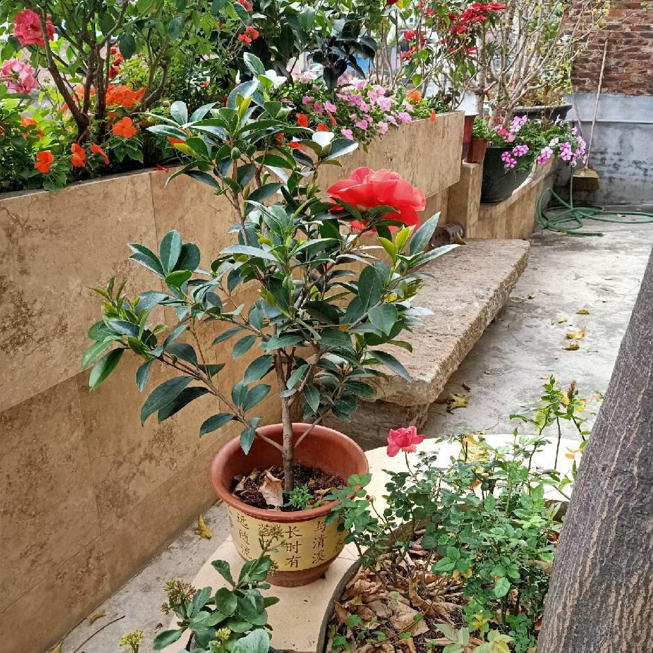 付负他开心就好